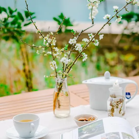Hotell The Nest By Cooking And Nature 4*