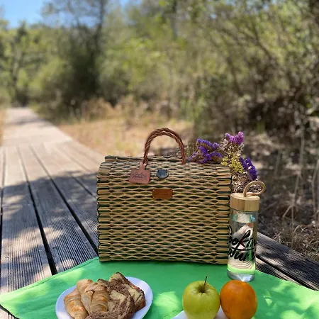 The Nest By Cooking And Nature