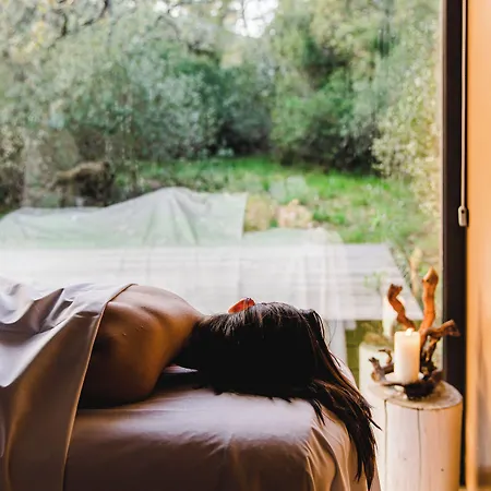 The Nest By Cooking And Nature Hotel 4*