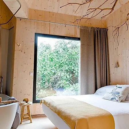 The Nest By Cooking And Nature Alvados