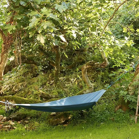 The Nest By Cooking And Nature